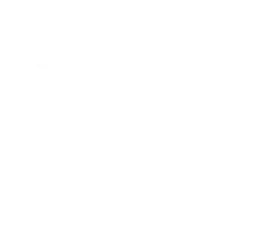 Flexible Payment Options